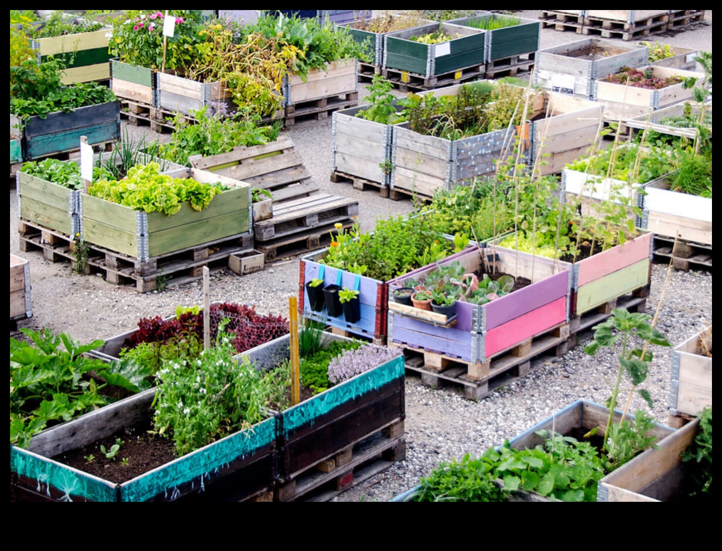 High-Rise Blooms: Vertical Gardening for Urban Retreats