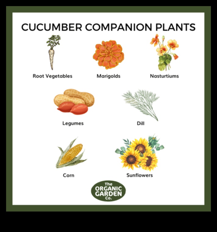 Sw and Grow: Nurturing Gardens through Companion Planting