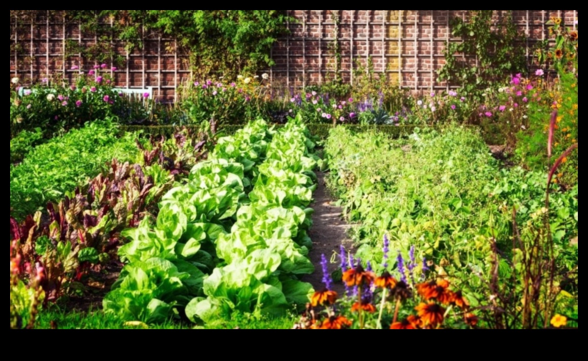 Sw and Grow: Nurturing Gardens through Companion Planting