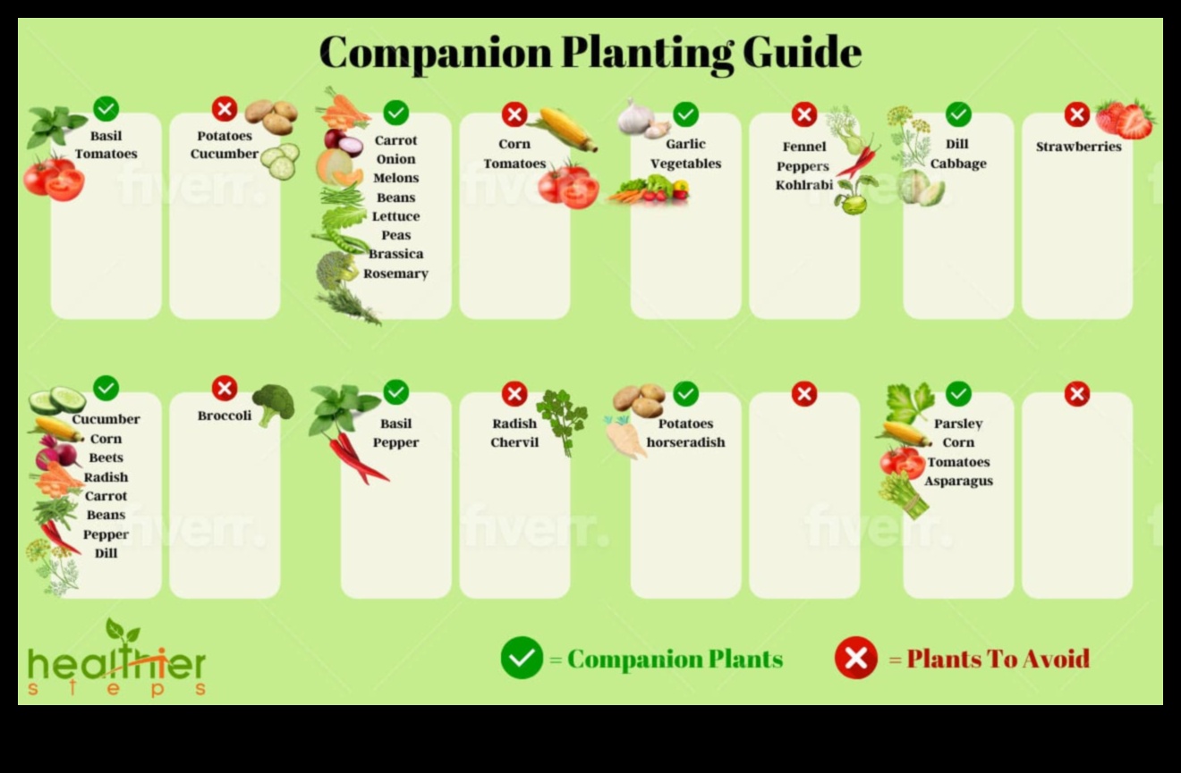 Sw and Grow: Nurturing Gardens through Companion Planting