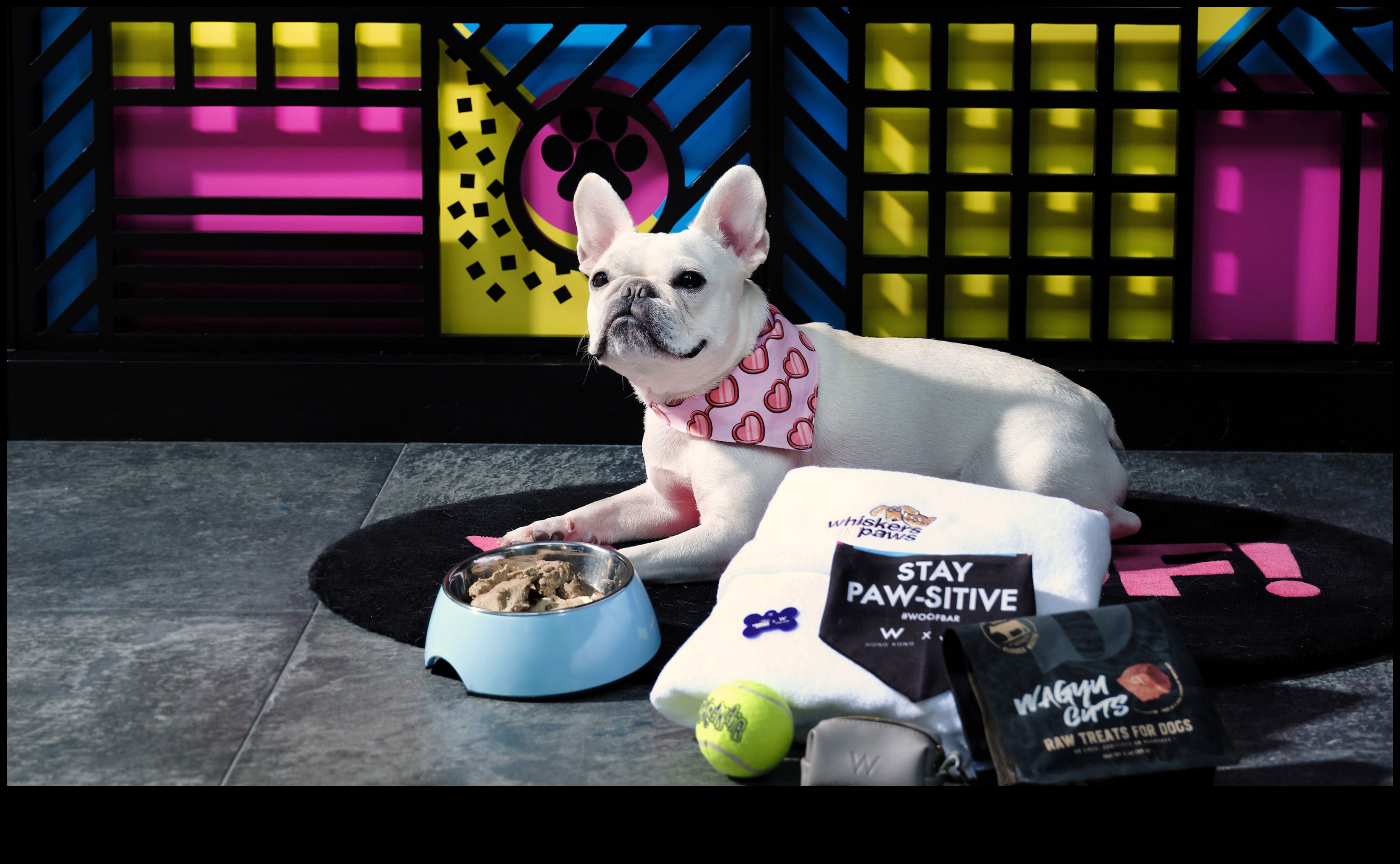 Furry Friends Fiesta: Δώρα για τους λάτρεις των κατοικίδιων και τους συντρόφους τους