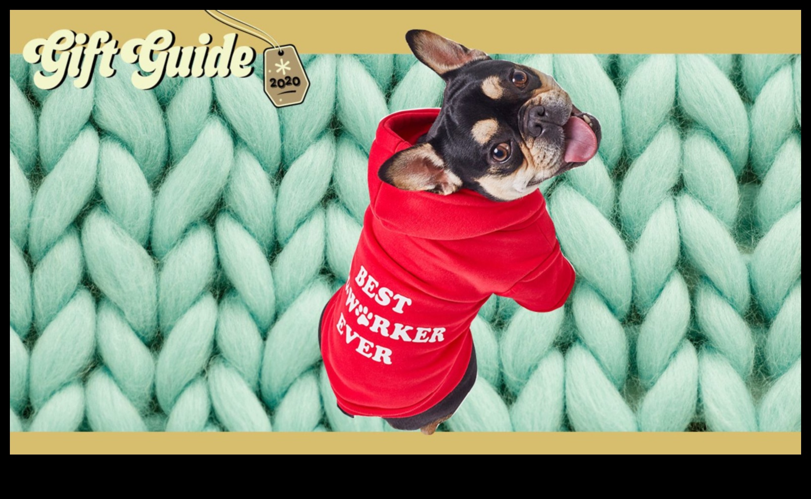 Furry Friends Fiesta: Δώρα για τους λάτρεις των κατοικίδιων και τους συντρόφους τους