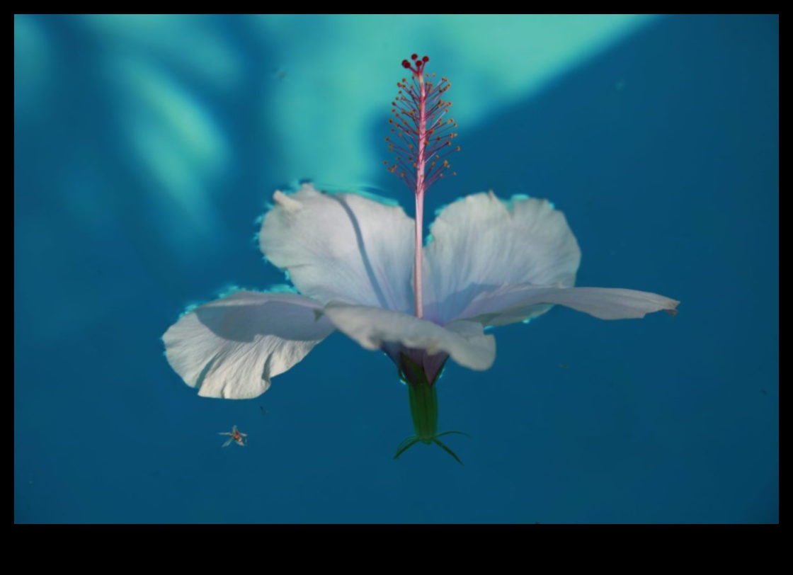 Petals of Possibility Η Απέραντη Ομορφιά του Horticulture 5 Petals of Possibility: Horticulture's Infinite Beauty