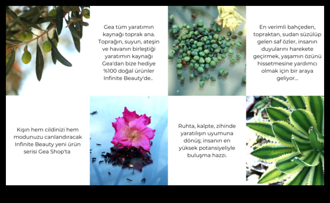 Petals of Possibility Η Απέραντη Ομορφιά του Horticulture 2 Petals of Possibility: Horticulture's Infinite Beauty