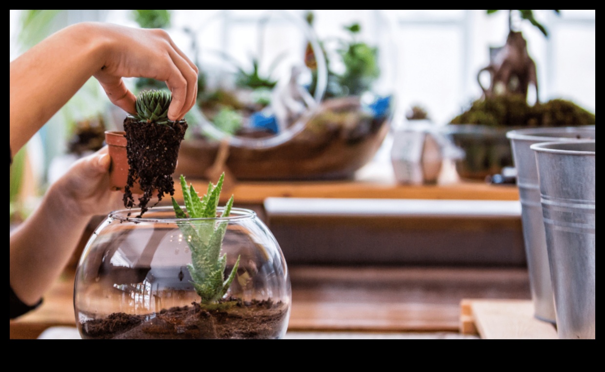 Petite Paradises: Small-Space Wonders with Container Gardening