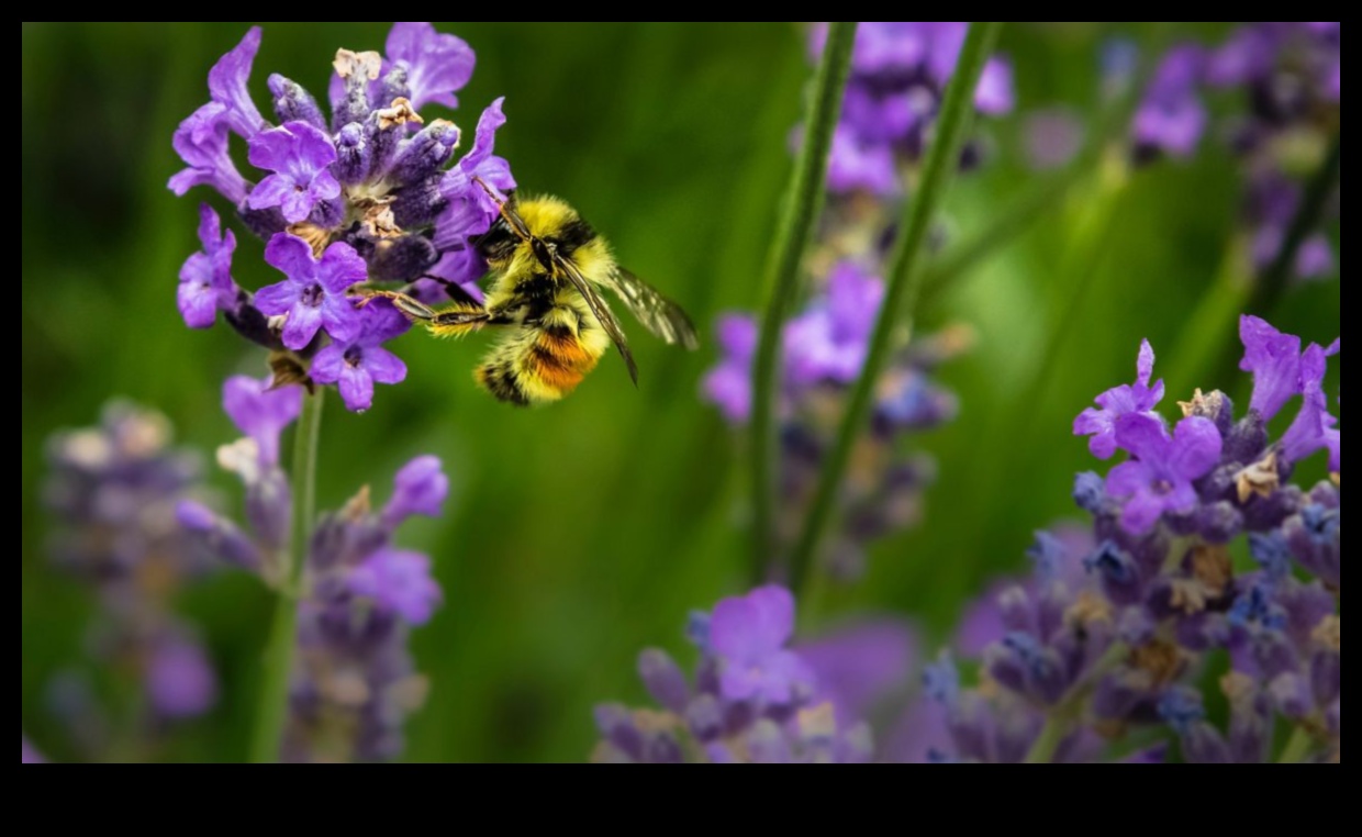 Παράδεισος από παράσιτα Πώς να δημιουργήσετε έναν ανθισμένο κήπο χωρίς τα σφάλματα 2 Pest-Proof Paradise: Strategies for a Blooming Garden