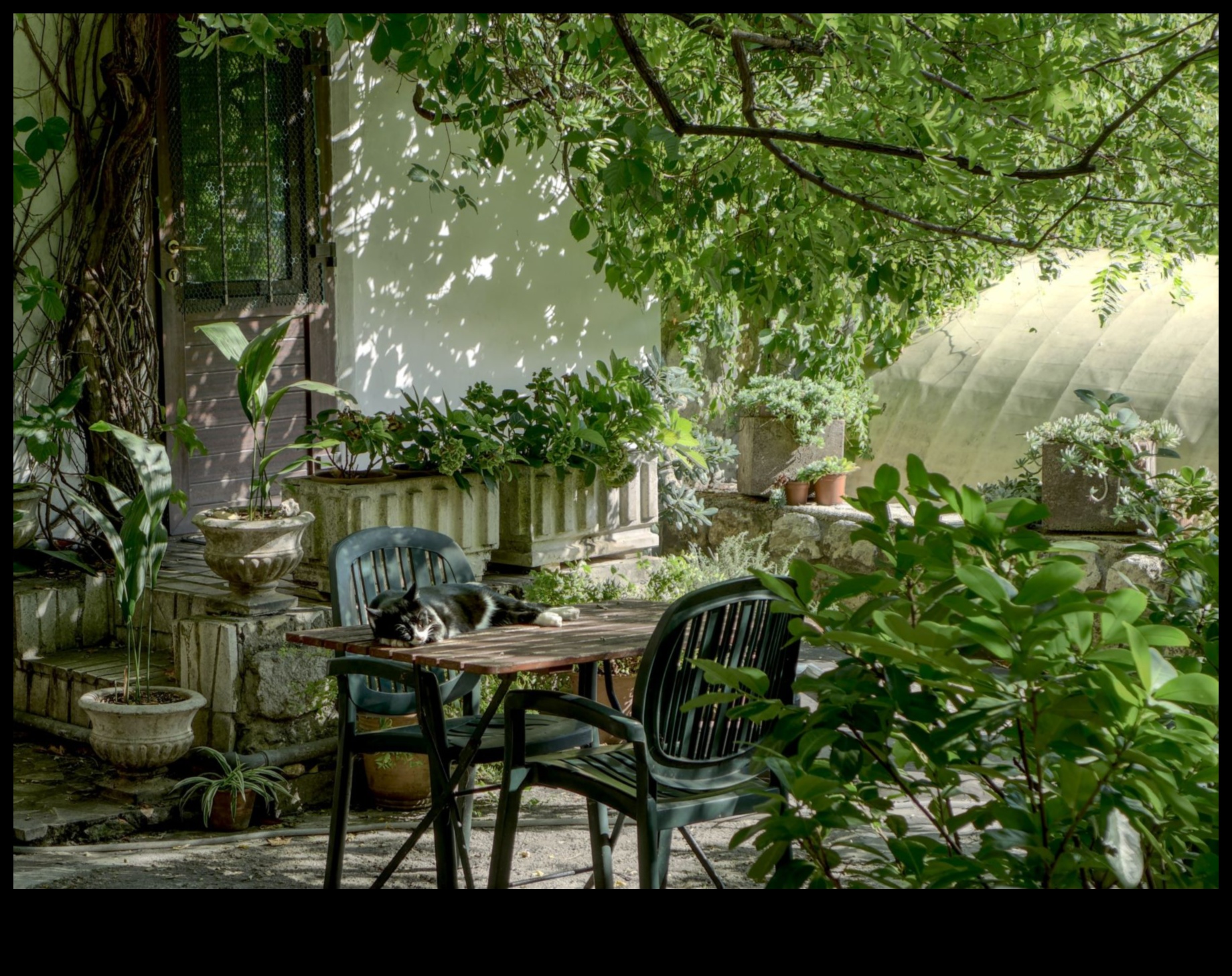 Το Artistry in Green: Garden Design Inspirations αποκαλύφθηκε