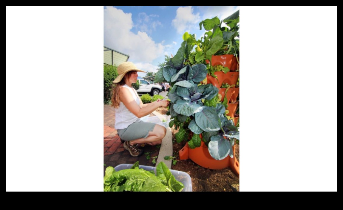 Upward Bound Blooms Vertical Gardening Adventures 2 Upward Bound Blooms: Vertical Gardening Adventures