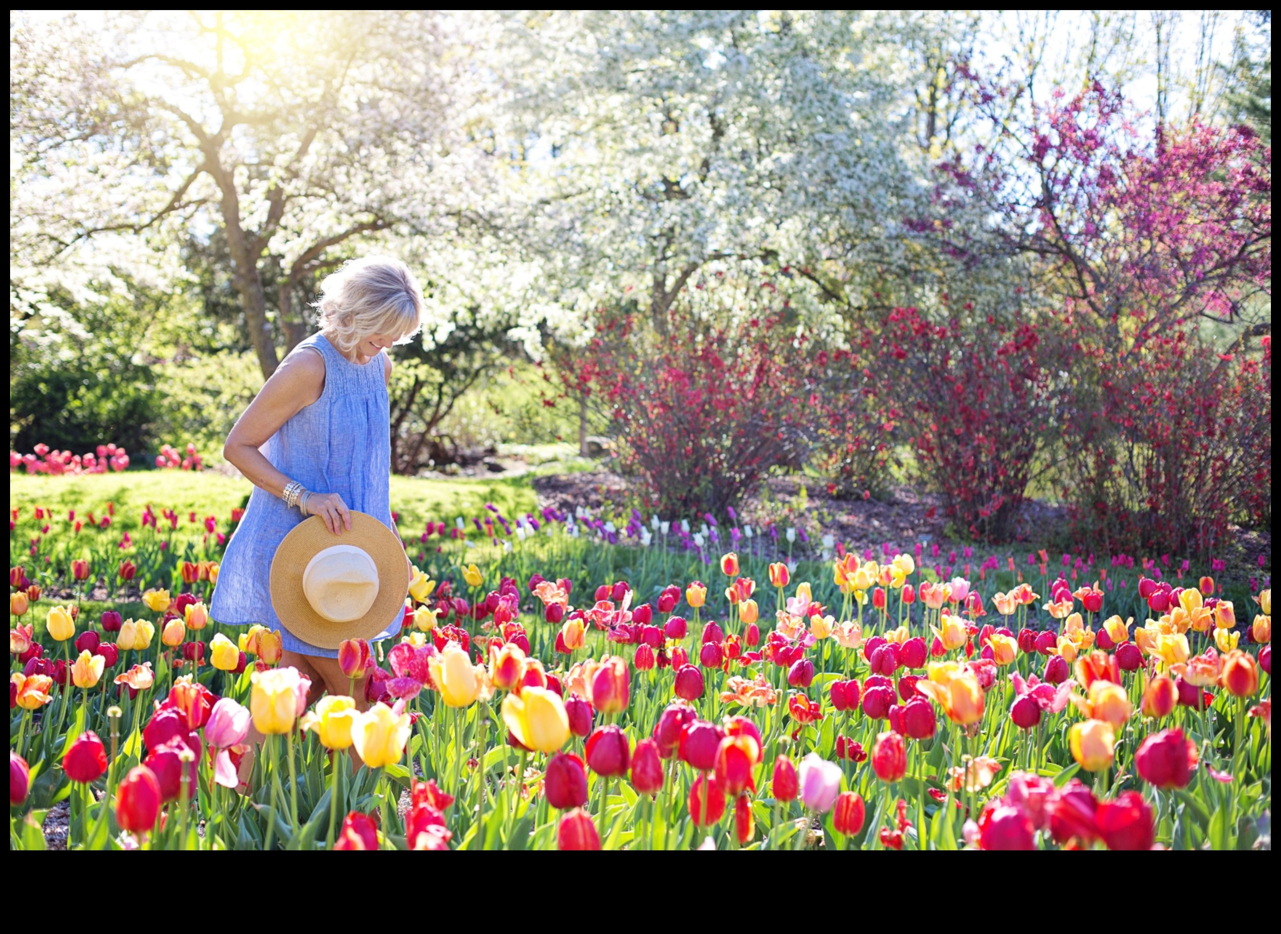 Garden Whispers: DIY Secrets for a Beautiful Space