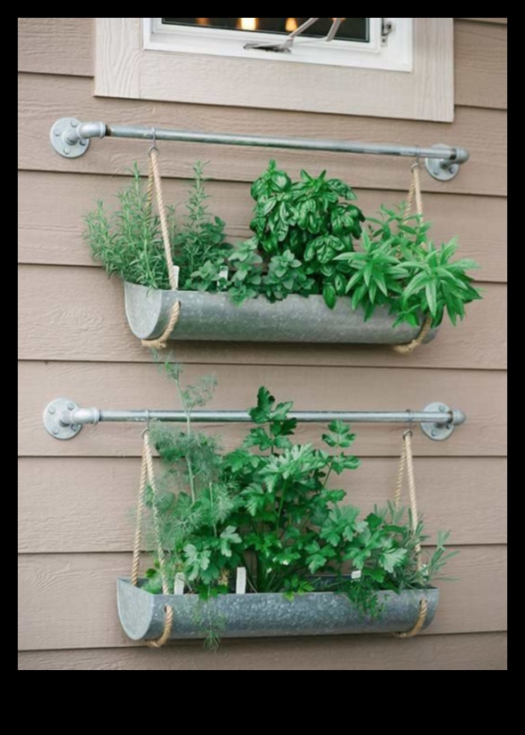 Garden Whispers: DIY Secrets for a Beautiful Space