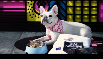 Furry Friends Fiesta: Δώρα για τους λάτρεις των κατοικίδιων και τους συντρόφους τους