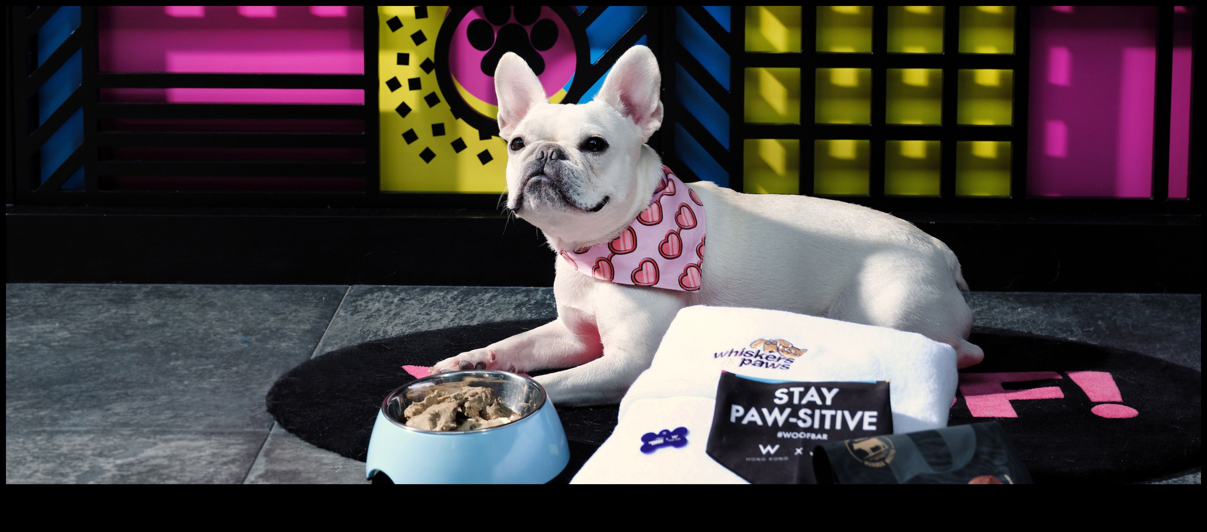 Furry Friends Fiesta: Δώρα για τους λάτρεις των κατοικίδιων και τους συντρόφους τους