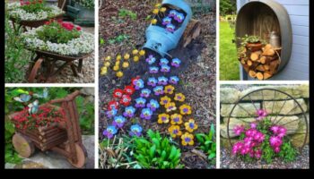 Garden Whispers: DIY Secrets for a Beautiful Space