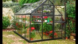 Harmony in Bloom Απελευθερώστε τα όνειρά σας στο θερμοκήπιο και αναπτύξτε τον προσωπικό σας κήπο 2 Harmony in Bloom: Unleash Your Greenhouse Dreams