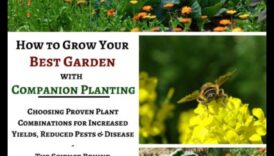 Partnered Perfection Πώς οραθείτε να μεγιστοποιήσετε την αποδοτικότητα του κήπου σας με το Companion Planting 2 Partnered Perfection: Navigating Companion Mastery Planting