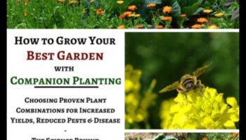 Partnered Perfection: Navigating Companion Mastery Planting