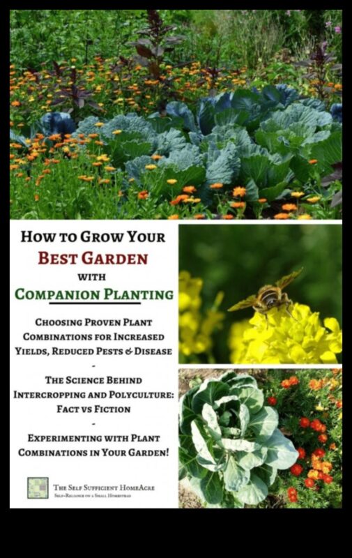 Partnered Perfection: Navigating Companion Mastery Planting