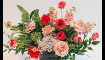 Petals of Possibility: Horticulture's Infinite Beauty