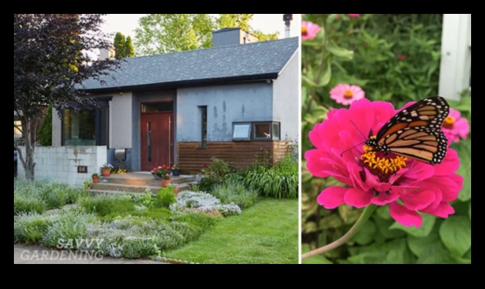 Seasonal Splendor 5 συμβουλές για να δημιουργήσετε έναν ανθισμένο παράδεισο 1 Seasonal Splendor: Essential Tips για έναν ανθισμένο παράδεισο