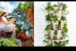 Upward Bound Blooms: Vertical Gardening Adventures