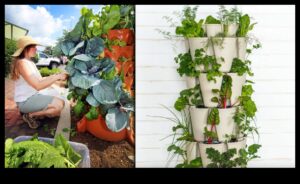 Upward Bound Blooms: Vertical Gardening Adventures