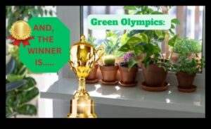 Houseplant Harmony: Indoor Gardening for Serenity
