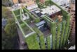 High-Rise Blooms: Vertical Gardening for Urban Retreats