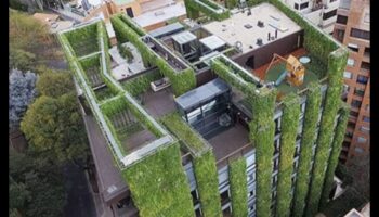 High-Rise Blooms: Vertical Gardening for Urban Retreats